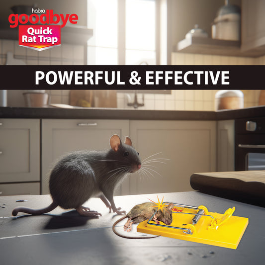 GOODBYE QUICK RAT TRAP
