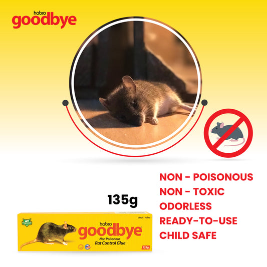 GOODBYE RAT CONTROL GLUE