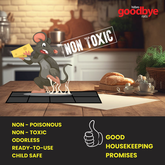 GOODBYE BAITED RAT GLUE TRAP BIG 2 P