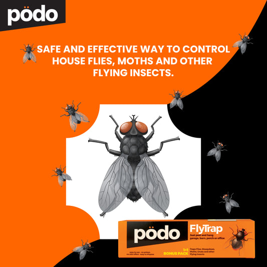 PODO FLY TRAP