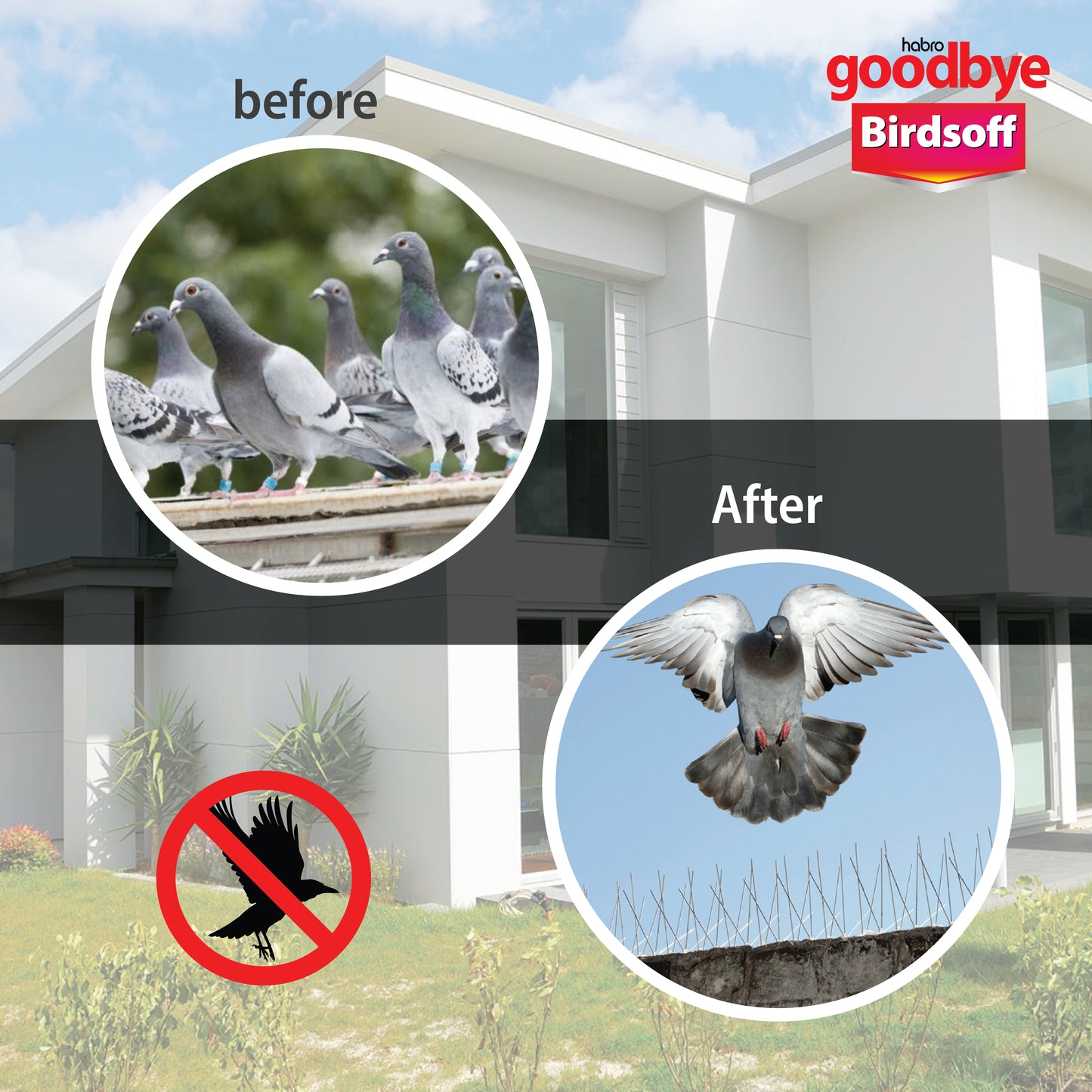 GOODBYE BIRDOFF SPIKE