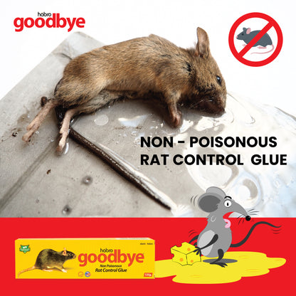 GOODBYE RAT CONTROL GLUE