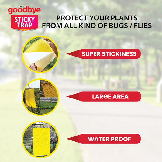 GOODBYE STICKY TRAP