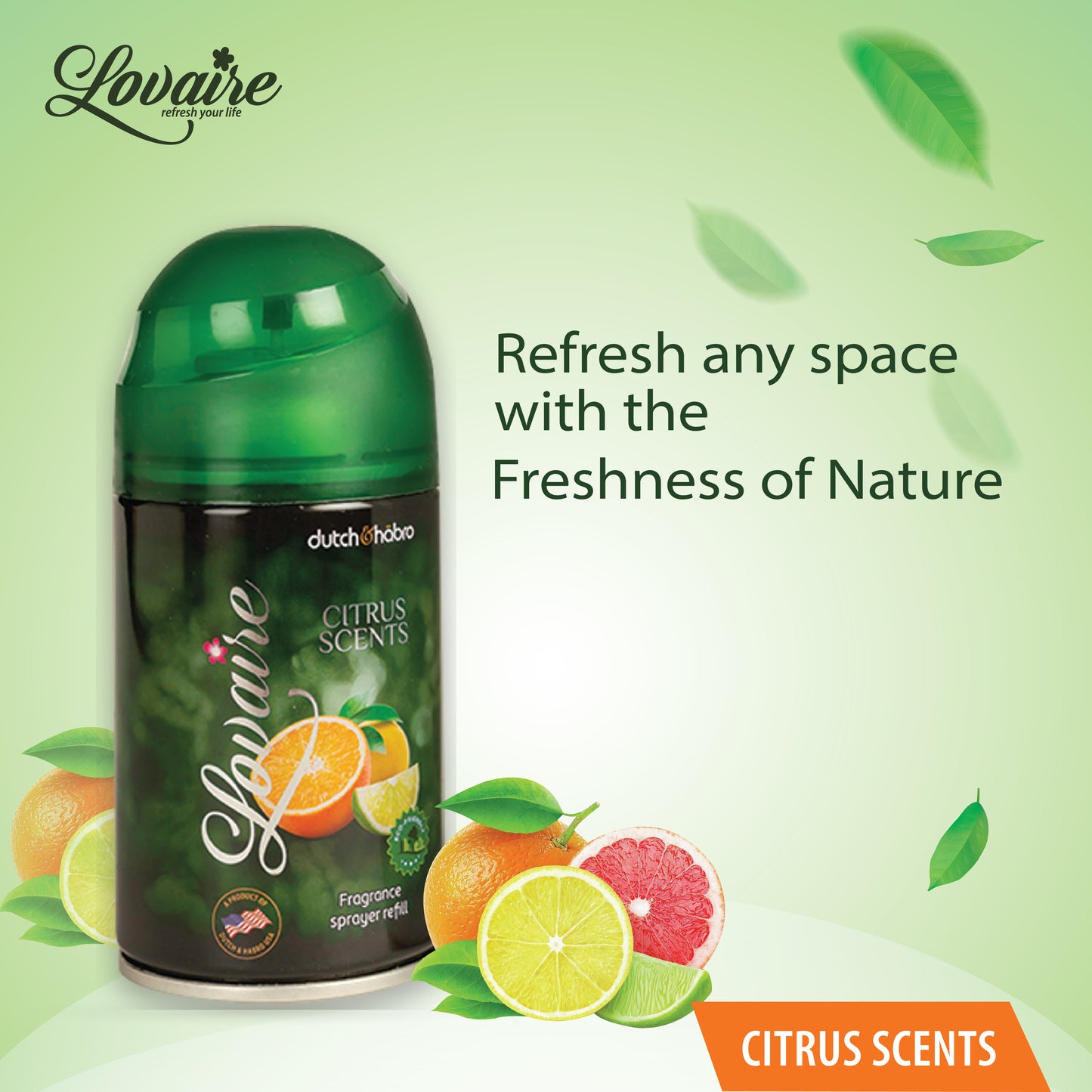 LOVAIRE AUTOMATIC COMBO PACK - CITRUS