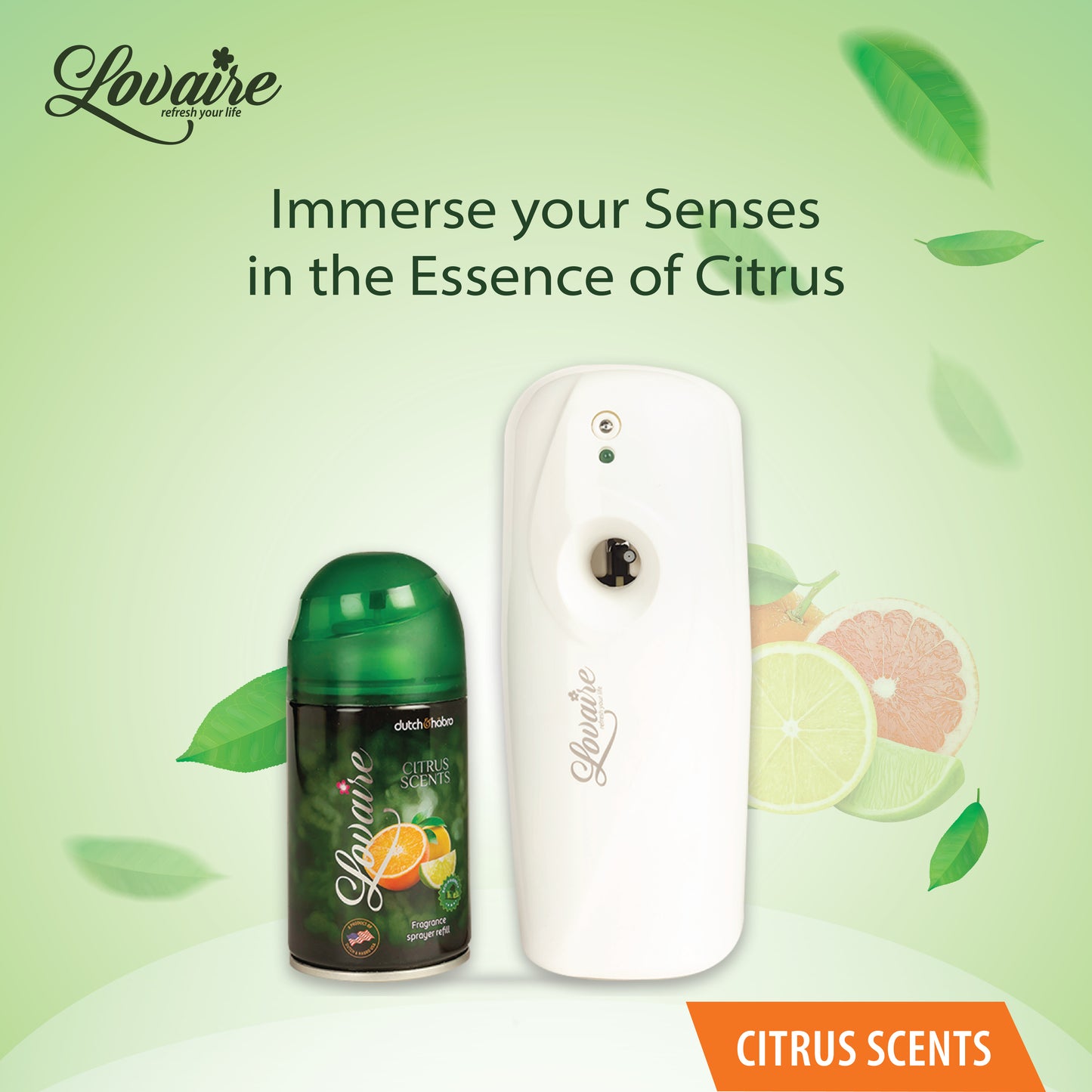 LOVAIRE AUTOMATIC COMBO PACK - CITRUS