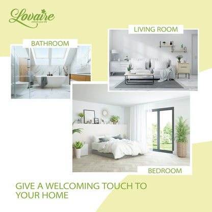 LOVAIRE AUTOMATIC COMBO PACK - FLORAL