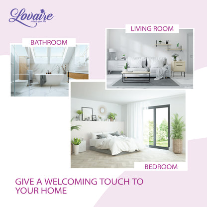 LOVAIRE AUTOMATIC COMBO PACK - LAVENDER