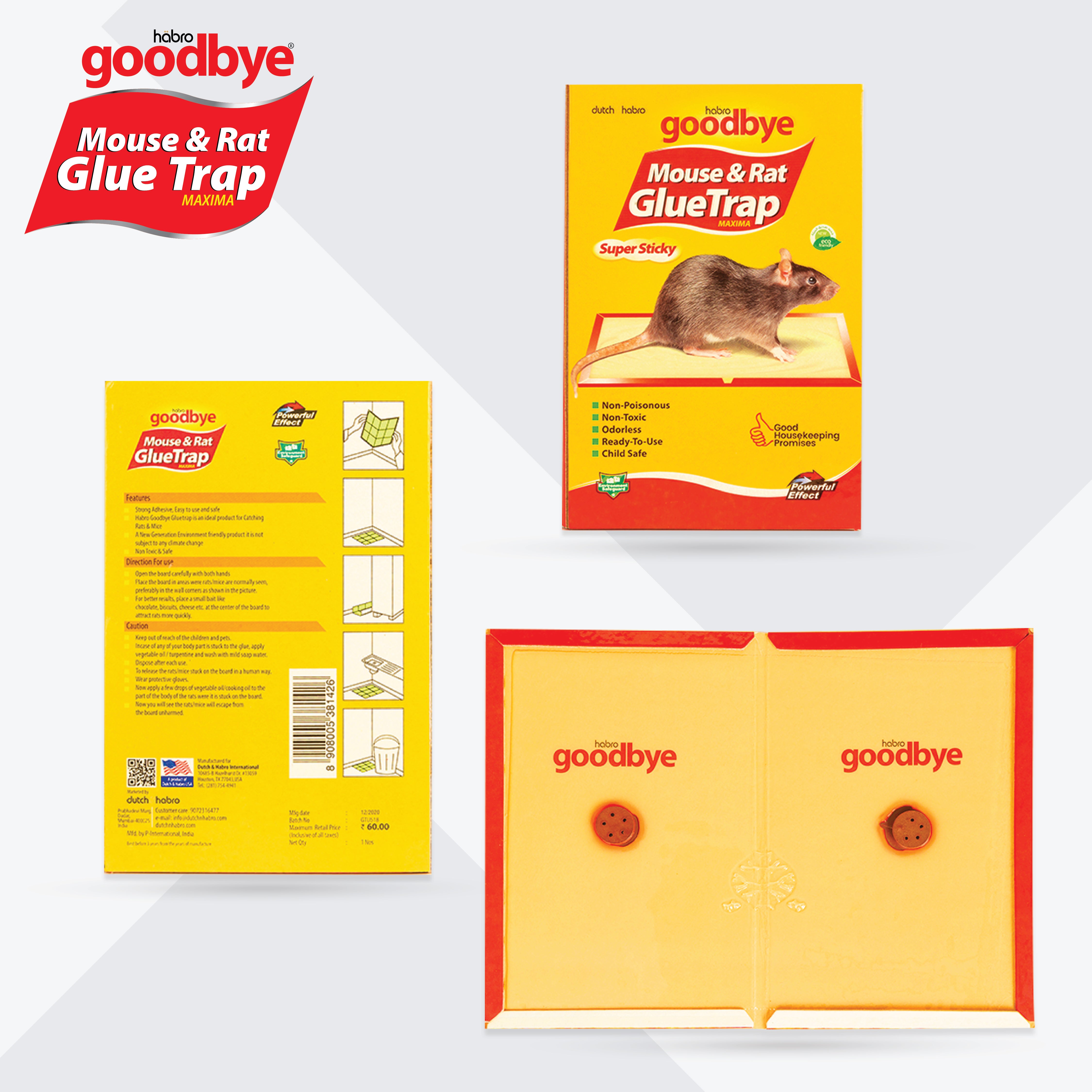 Bye Mouse Goodbye Mouse Glue Trap Maxima – Pre-Baited Non-Toxic Trap – Dutch and ...